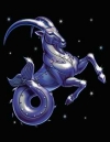 КОЗИРОГ - ГОДИШЕН ХОРОСКОП ЗА  2016