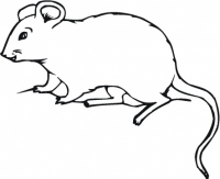 ПЛЪХ 2015