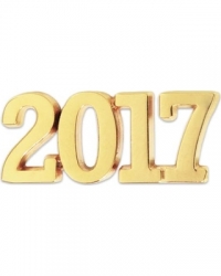 ПРЕДСКАЗАНИЯ ЗА 2017 ГОДИНА